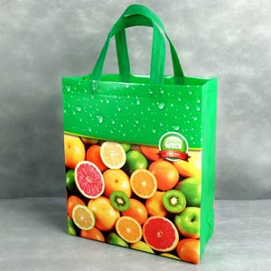 覆膜無(wú)紡布袋