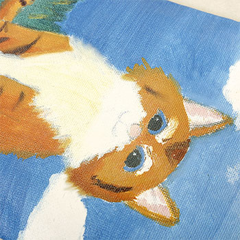 棉布袋,帆布袋,廈門棉布袋,廈門帆布袋