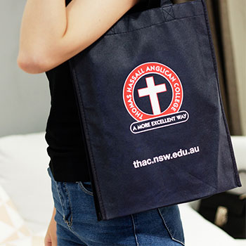 無紡布袋,廈門無紡布袋