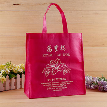 無紡布袋,廈門無紡布袋